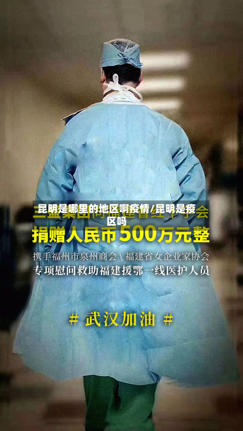 昆明是哪里的地区啊疫情/昆明是疫区吗-第2张图片