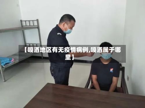 【嘎洒地区有无疫情病例,嘎洒属于哪里】-第3张图片