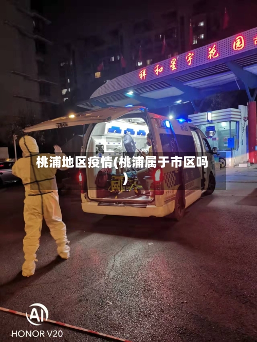 桃浦地区疫情(桃浦属于市区吗)-第1张图片