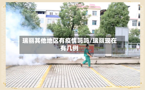 瑞丽其他地区有疫情吗吗/瑞丽现在有几例-第1张图片