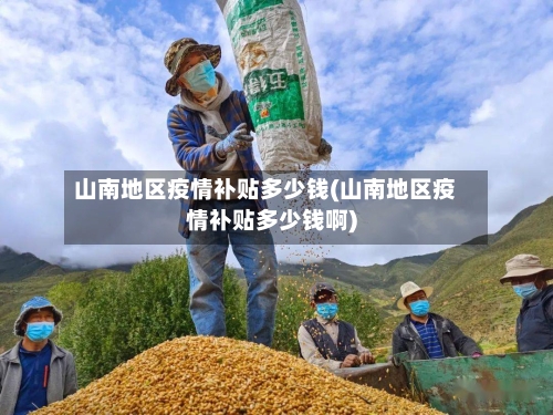 山南地区疫情补贴多少钱(山南地区疫情补贴多少钱啊)-第1张图片