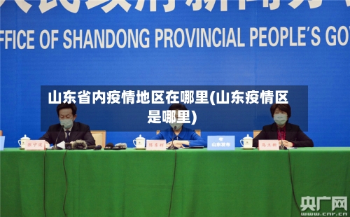 山东省内疫情地区在哪里(山东疫情区是哪里)-第2张图片