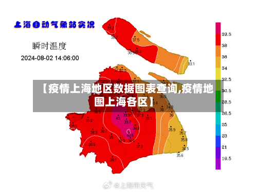 【疫情上海地区数据图表查询,疫情地图上海各区】-第3张图片
