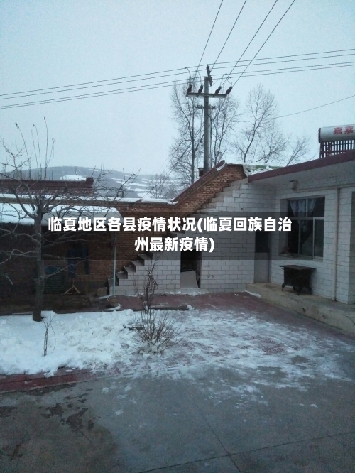 临夏地区各县疫情状况(临夏回族自治州最新疫情)-第3张图片