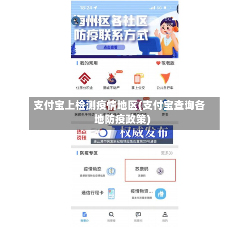 支付宝上检测疫情地区(支付宝查询各地防疫政策)-第1张图片