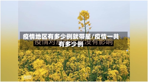 疫情地区有多少例就带星/疫情一共有多少例-第1张图片