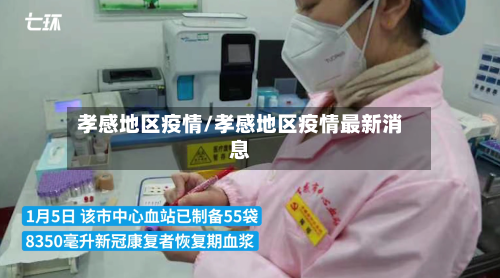 孝感地区疫情/孝感地区疫情最新消息-第3张图片