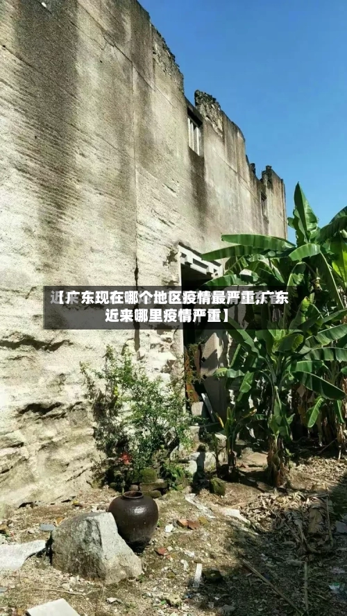 【广东现在哪个地区疫情最严重,广东近来哪里疫情严重】-第1张图片