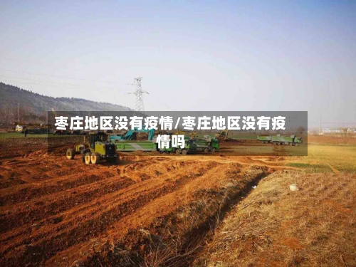 枣庄地区没有疫情/枣庄地区没有疫情吗-第3张图片