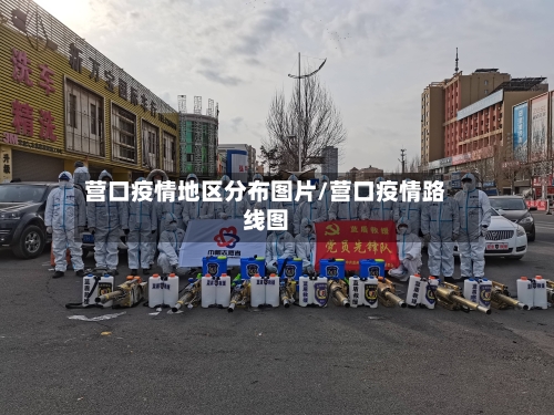 营口疫情地区分布图片/营口疫情路线图-第2张图片