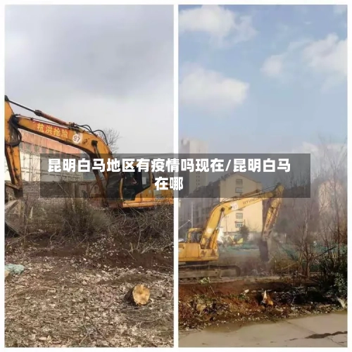 昆明白马地区有疫情吗现在/昆明白马在哪-第3张图片