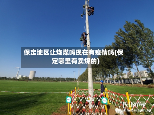 保定地区让烧煤吗现在有疫情吗(保定哪里有卖煤的)-第2张图片