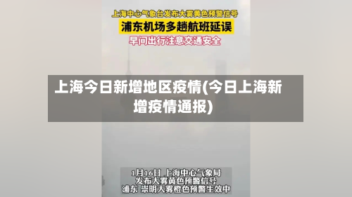 上海今日新增地区疫情(今日上海新增疫情通报)-第2张图片