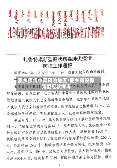 肥乡疫情中高风险地区/肥乡有没有新型冠状病毒-第2张图片