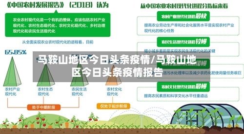 马鞍山地区今日头条疫情/马鞍山地区今日头条疫情报告-第3张图片