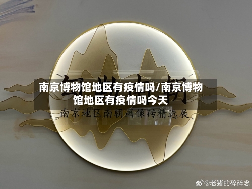 南京博物馆地区有疫情吗/南京博物馆地区有疫情吗今天-第2张图片