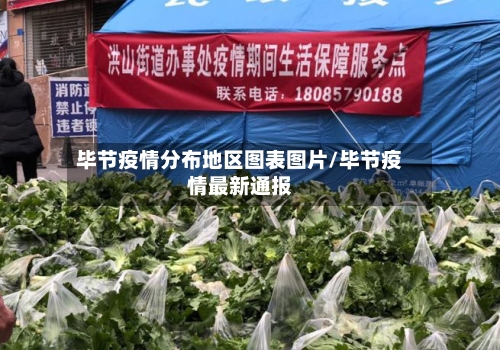 毕节疫情分布地区图表图片/毕节疫情最新通报-第1张图片