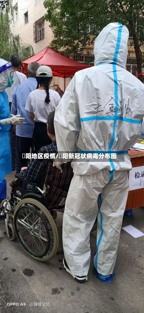 卲阳地区疫情/卲阳新冠状病毒分布图-第1张图片