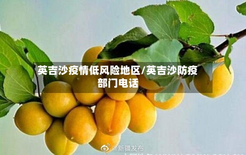 英吉沙疫情低风险地区/英吉沙防疫部门电话-第1张图片