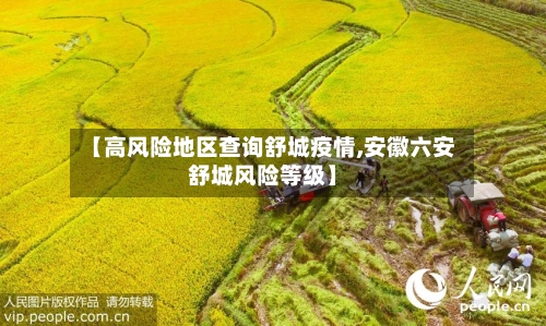 【高风险地区查询舒城疫情,安徽六安舒城风险等级】-第3张图片
