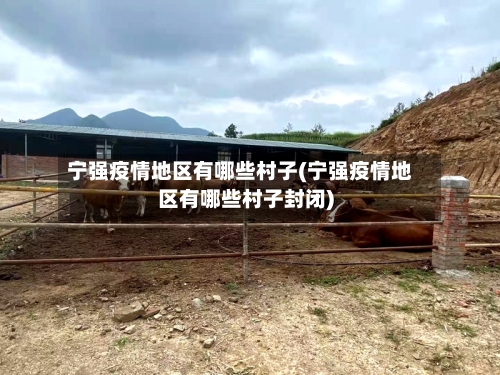 宁强疫情地区有哪些村子(宁强疫情地区有哪些村子封闭)-第1张图片