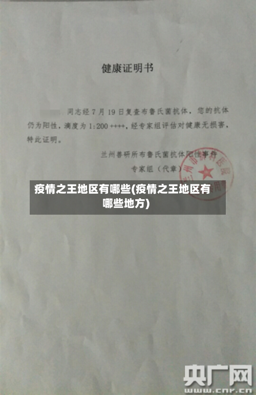 疫情之王地区有哪些(疫情之王地区有哪些地方)-第1张图片