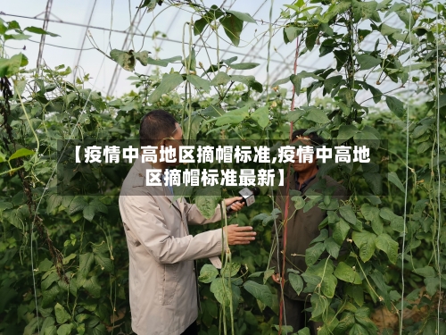 【疫情中高地区摘帽标准,疫情中高地区摘帽标准最新】-第2张图片