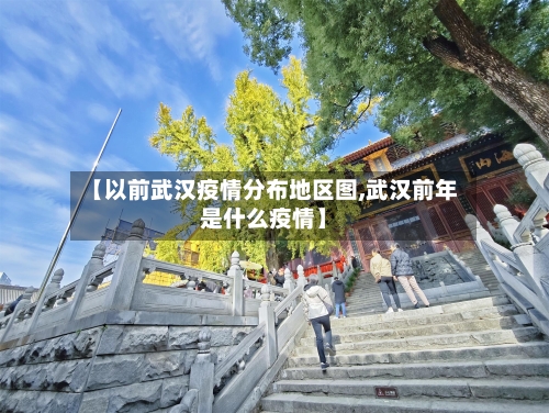 【以前武汉疫情分布地区图,武汉前年是什么疫情】-第1张图片