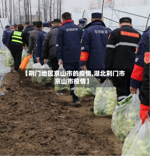 【荆门地区京山市的疫情,湖北荆门市京山市疫情】-第2张图片