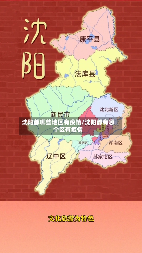 沈阳都哪些地区有疫情/沈阳都有哪个区有疫情-第2张图片