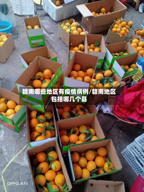 赣南哪些地区有疫情病例/赣南地区包括哪几个县-第2张图片