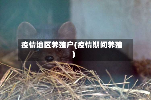 疫情地区养殖户(疫情期间养殖)-第1张图片