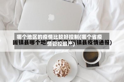 哪个地区的疫情比较好控制(哪个省疫情管控最严)-第2张图片