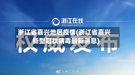 浙江省嘉兴地区疫情(浙江省嘉兴新型冠状病毒最新消息)-第2张图片