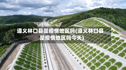 遵义林口县是疫情地区吗(遵义林口县是疫情地区吗今天)-第3张图片