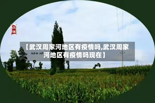 【武汉周家河地区有疫情吗,武汉周家河地区有疫情吗现在】-第1张图片