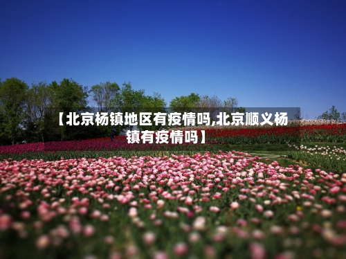【北京杨镇地区有疫情吗,北京顺义杨镇有疫情吗】-第3张图片