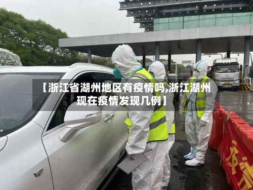 【浙江省湖州地区有疫情吗,浙江湖州现在疫情发现几例】-第3张图片