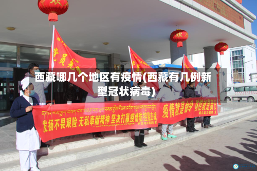 西藏哪几个地区有疫情(西藏有几例新型冠状病毒)-第2张图片