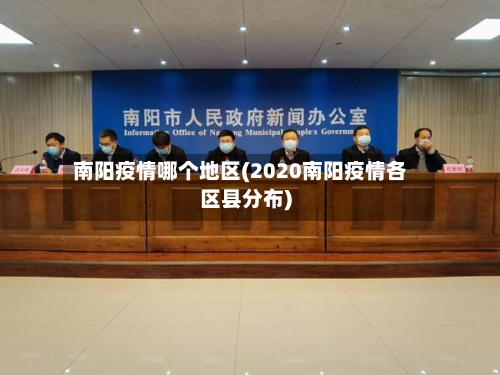 南阳疫情哪个地区(2020南阳疫情各区县分布)-第2张图片