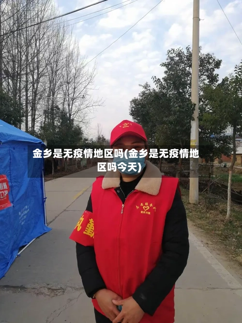 金乡是无疫情地区吗(金乡是无疫情地区吗今天)-第2张图片