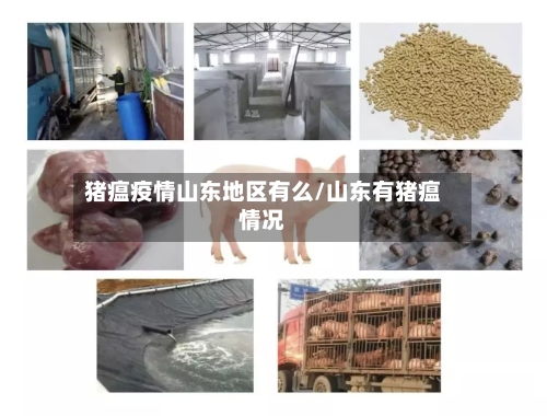 猪瘟疫情山东地区有么/山东有猪瘟情况-第3张图片