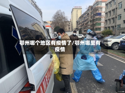 鄂州哪个地区有疫情了/鄂州哪里有疫情-第3张图片